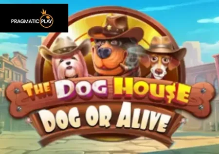 The Dog House – Dog or Alive